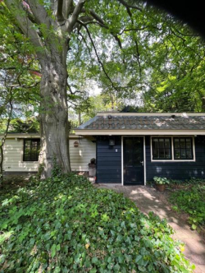 Cottage Het Beukenootje